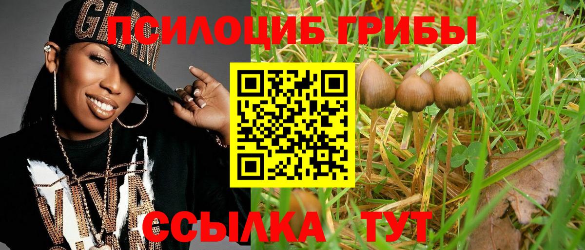 Псилоцибиновые грибы прущие грибы  Вход с VPN  Конаково 